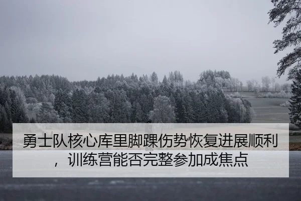 勇士队核心库里脚踝伤势恢复进展顺利，训练营能否完整参加成焦点