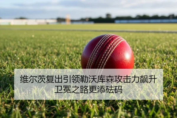 wei-er-ci-fu-chu-yin-ling-lei-wo-ku-sen-gong-ji-li-biao-sheng-wei-mian-zhi-lu-geng-tian-fa-ma-2-343.jpg